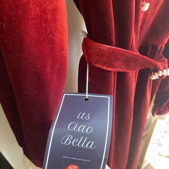 Vintage Velvet Dress - NWT - Picture 4 of 4